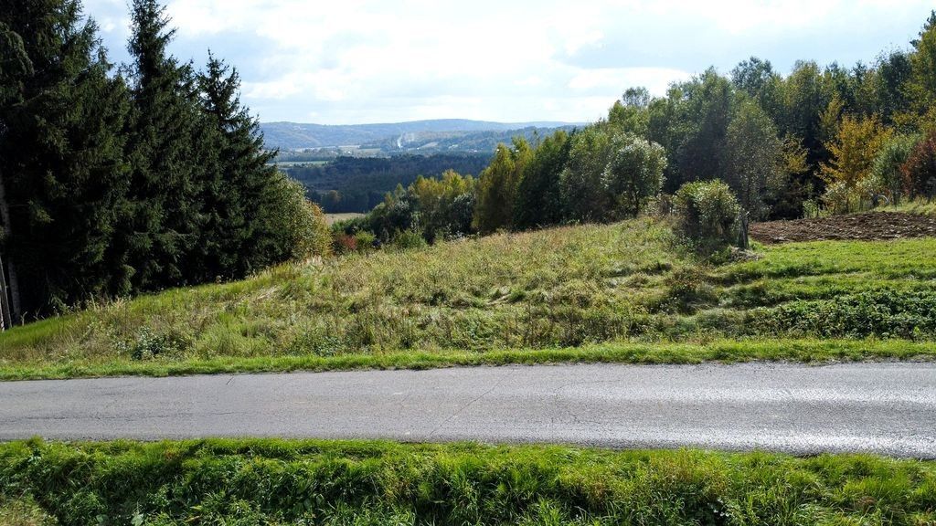 Działka budowlana Przedmieście Dubieckie. Zdjęcie 1