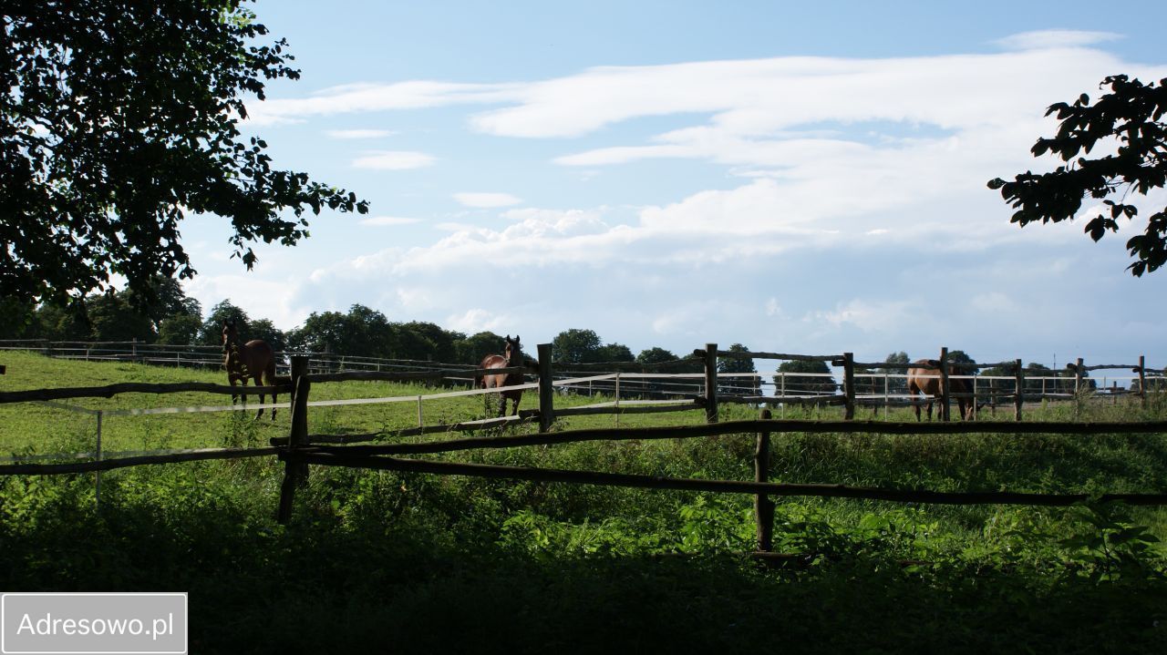 dworek Suchoręcz. Zdjęcie 7