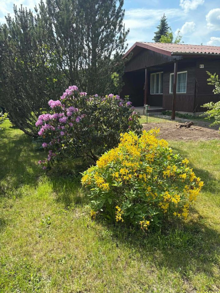 Działka rod Szczaki. Zdjęcie 7