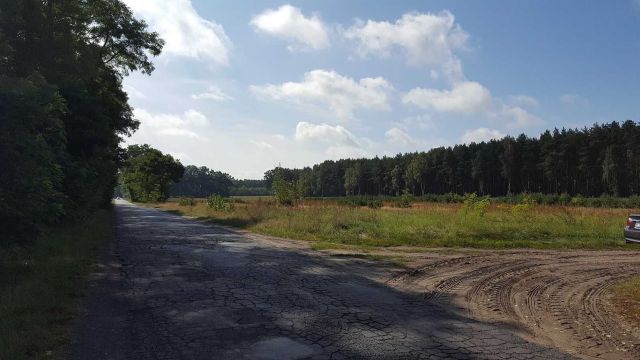 Działka budowlana Stare Kramsko. Zdjęcie 1