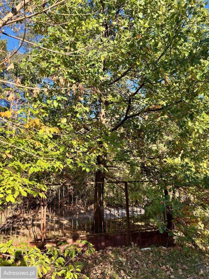 Działka budowlana Wola Aleksandra, ul. Wolska. Zdjęcie 13