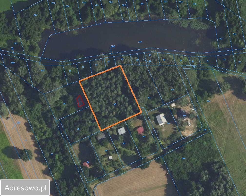 Działka leśna Wilków Polski. Zdjęcie 6