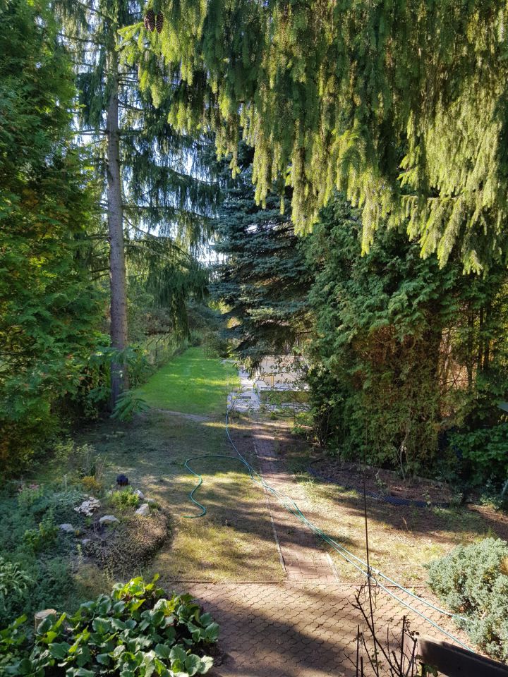 Działka rekreacyjna Łosie, ul. Czyżyka. Zdjęcie 15