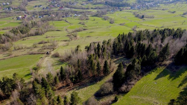 Działka rolna Chyszówki. Zdjęcie 4