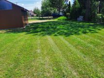 Działka rolno-budowlana Tyśmienica. Zdjęcie 2