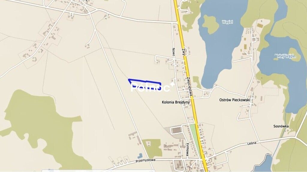 Działka rolna Piecki. Zdjęcie 4