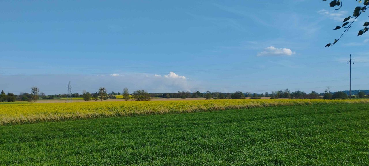 dom wolnostojący, 4 pokoje Czernięcin Poduchowny. Zdjęcie 35