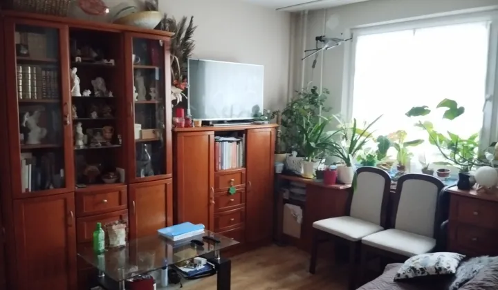 Mieszkanie 2-pokojowe Łódź Widzew, ul. Lodowa