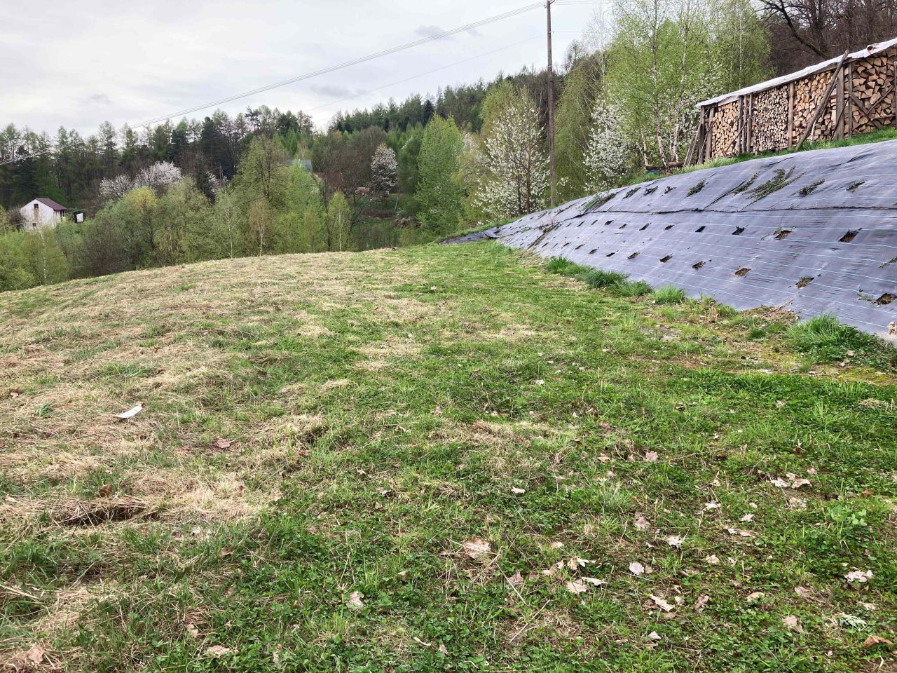 Działka rolno-budowlana Przedmieście Czudeckie Zawisłocze. Zdjęcie 13