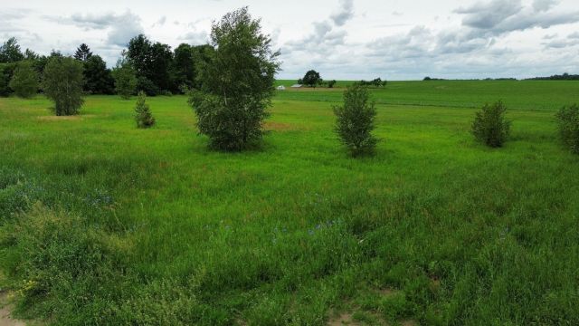 Działka budowlana Krzywa Wieś. Zdjęcie 11