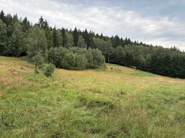 Działka budowlana Nowa Morawa. Zdjęcie 4