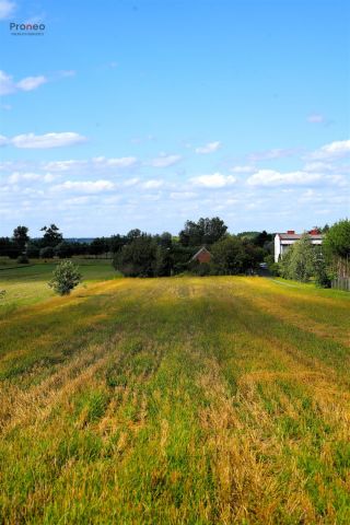 Działka rolno-budowlana Wincentów. Zdjęcie 3