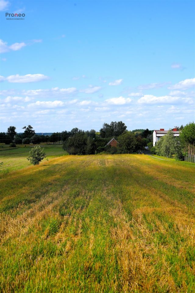 Działka rolno-budowlana Wincentów. Zdjęcie 3