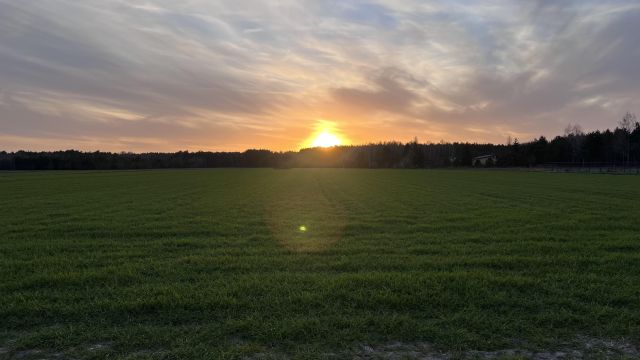 Działka rolno-budowlana Zasonie. Zdjęcie 4