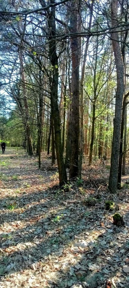Działka rolno-budowlana Ciepielów-Kolonia. Zdjęcie 8