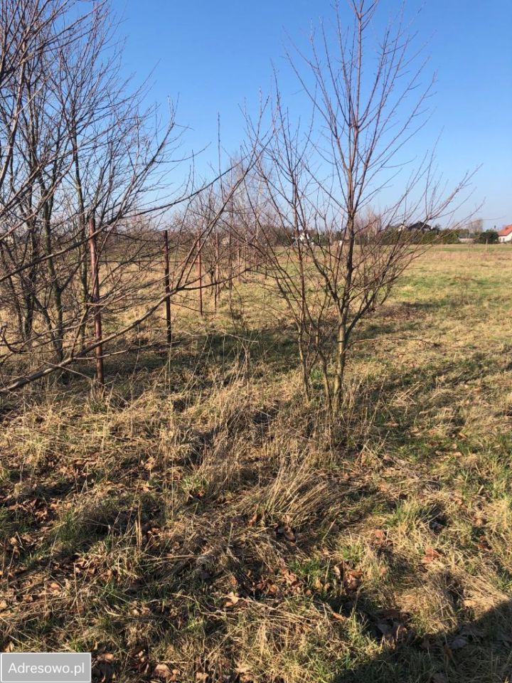 Działka rolno-budowlana Gąsocin, ul. Nasielska. Zdjęcie 6