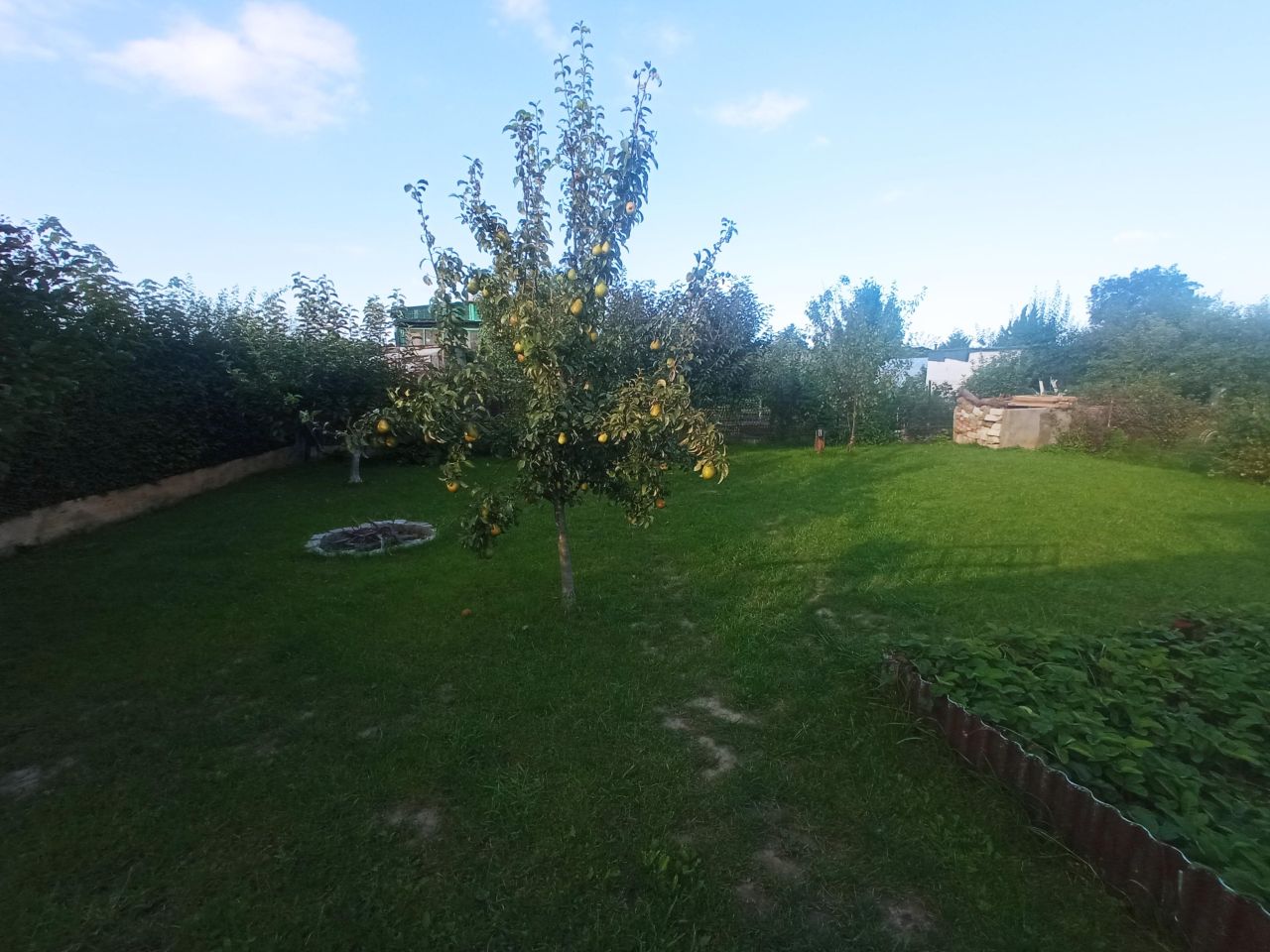 Działka rod Tczew Suchostrzygi, ul. Działkowa. Zdjęcie 8