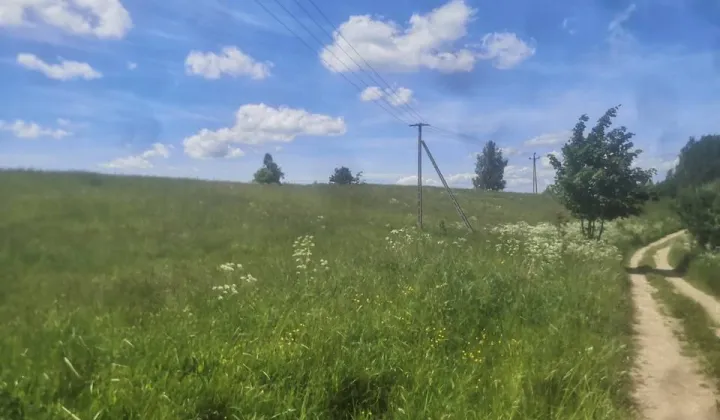 Działka rolna Piłaki Wielkie