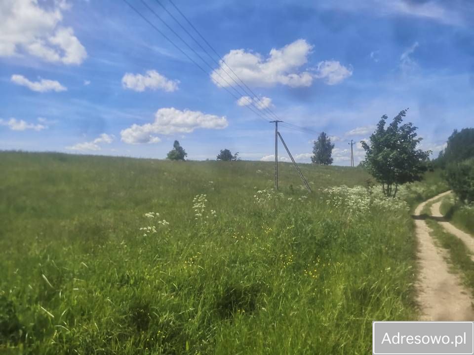 Działka rolna Piłaki Wielkie. Zdjęcie 1