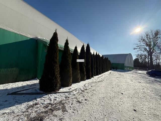 Lokal Nadarzyn. Zdjęcie 9