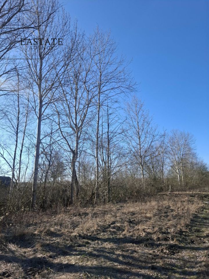 Działka budowlana Nowy Prażmów, ul. Akacjowa. Zdjęcie 9