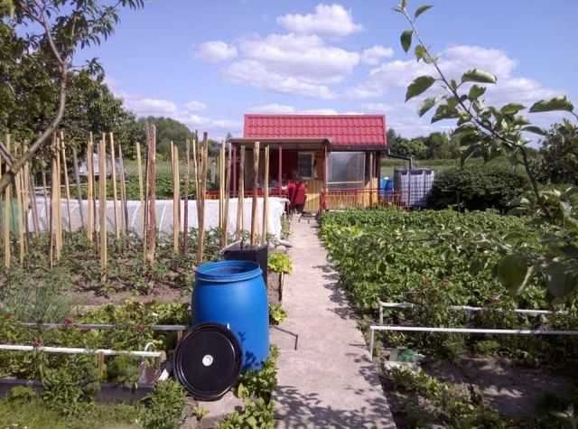 Działka rod Ostrzeszów, ul. Ceglarska. Zdjęcie 1