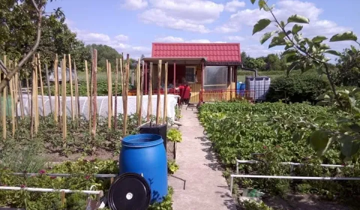 Działka rod Ostrzeszów, ul. Ceglarska