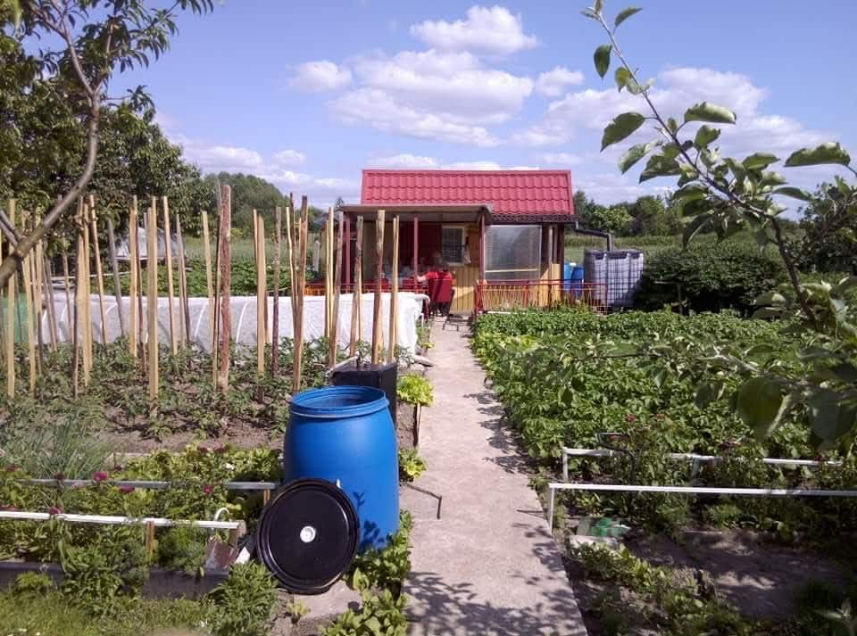 Działka rod Ostrzeszów, ul. Ceglarska. Zdjęcie 1