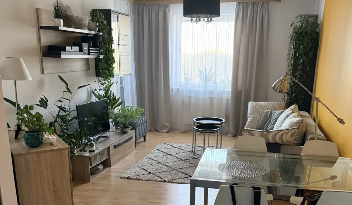 Mieszkanie 2-pokojowe Warszawa Białołęka, ul. Aluzyjna