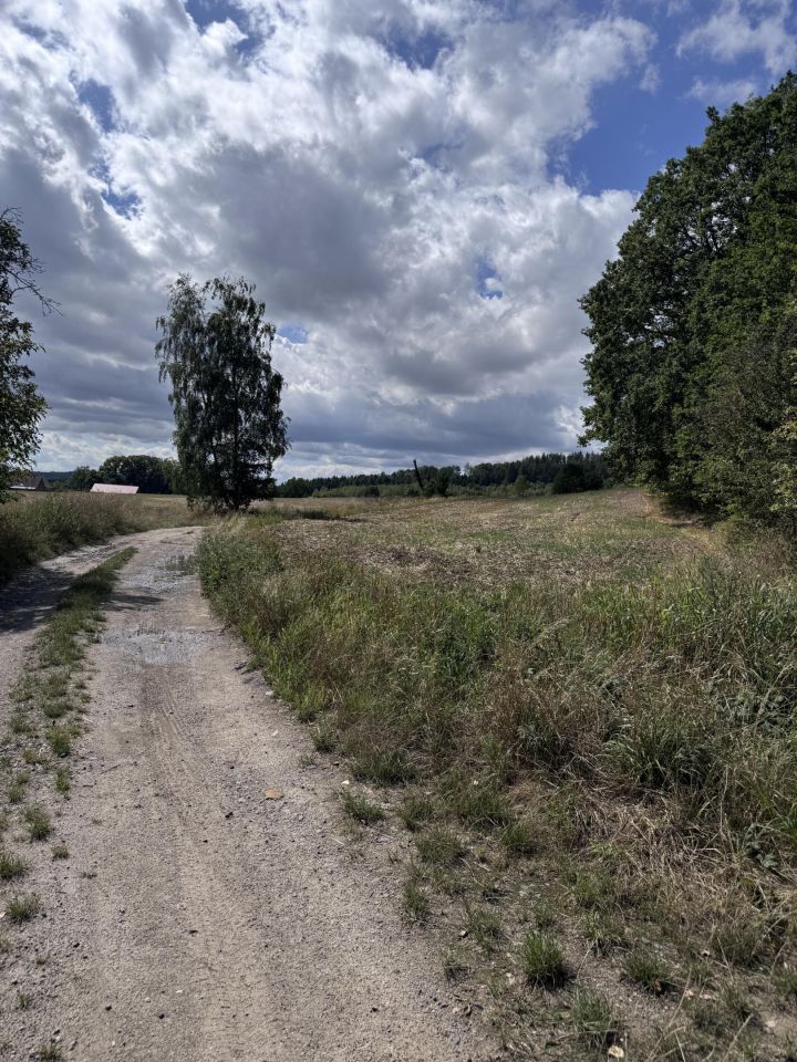 Działka budowlana Roztocznik Dobrocinek, Dobrocinek. Zdjęcie 5