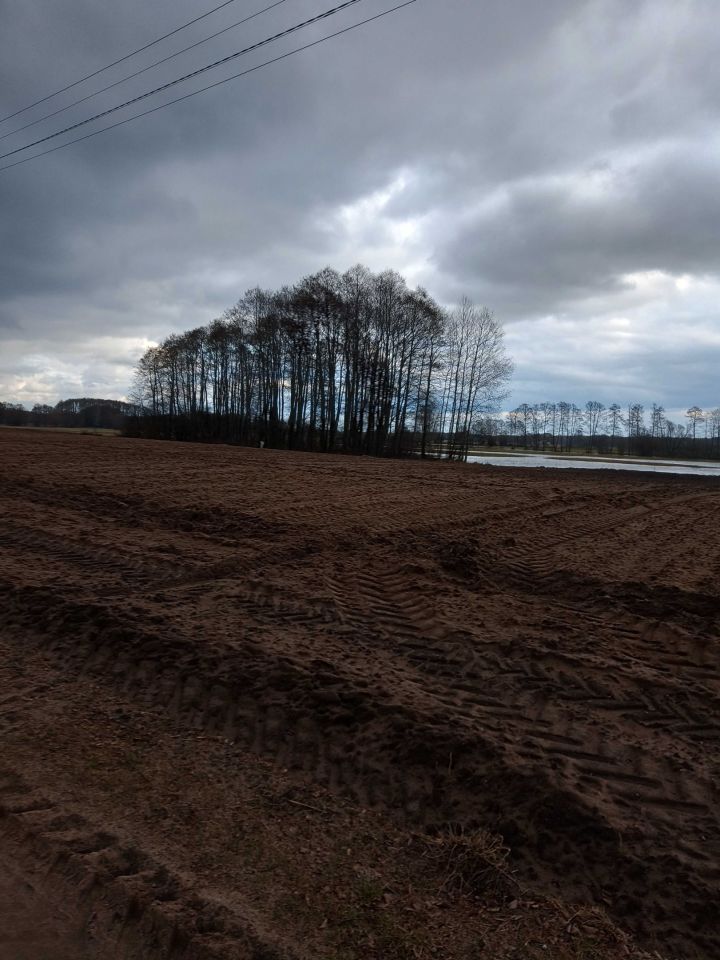 Działka budowlana Nury. Zdjęcie 4