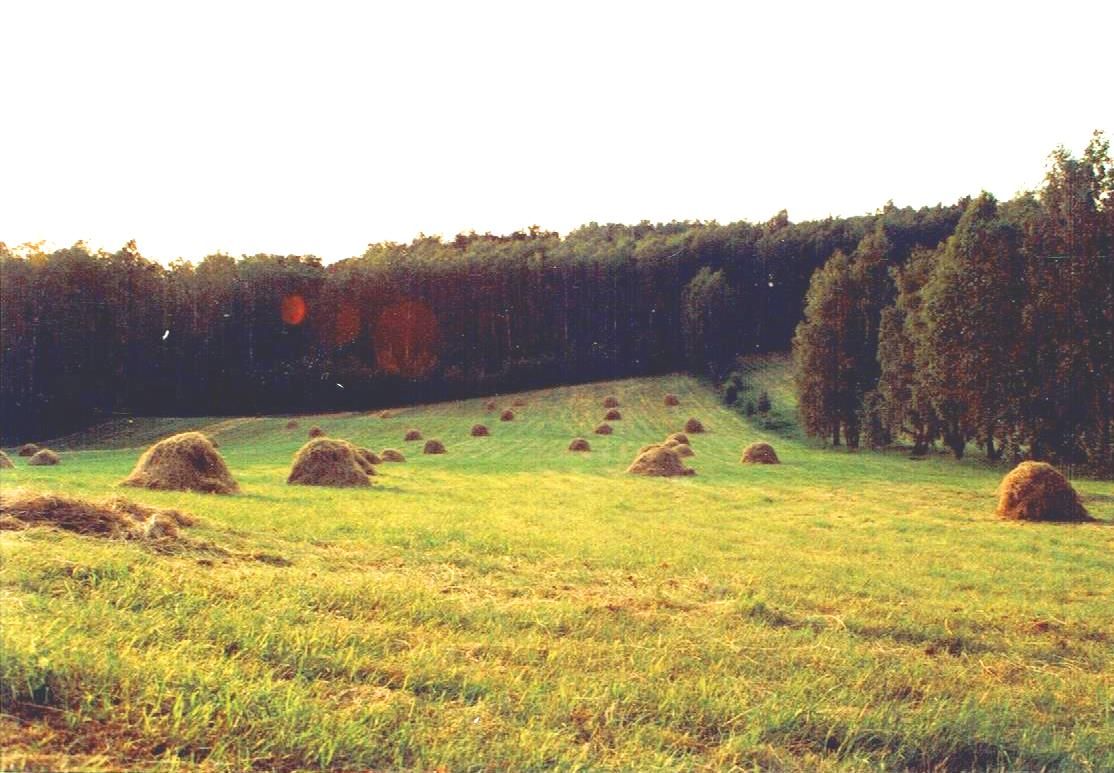 Działka rolno-budowlana Smardzew. Zdjęcie 11