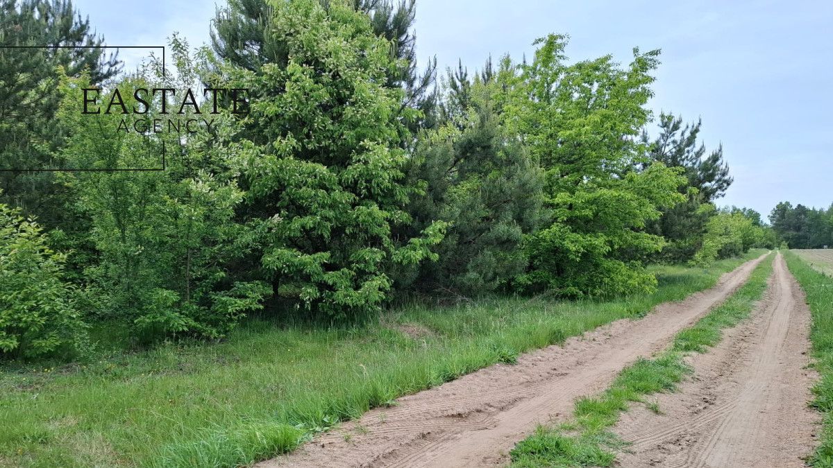 Działka inwestycyjna Myrcha. Zdjęcie 9