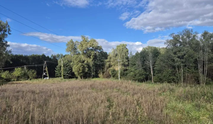 Działka siedliskowa Trzcin