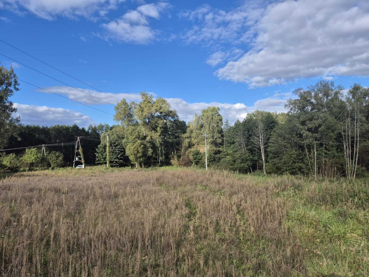 Działka siedliskowa Trzcin