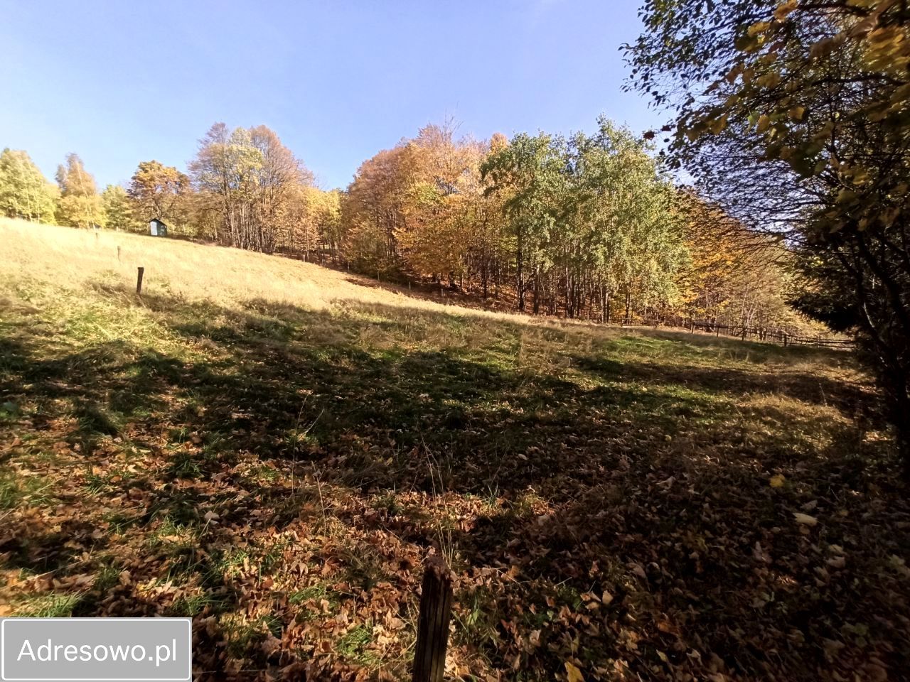 Działka budowlana Brenna, ul. dr. Kisiały. Zdjęcie 3