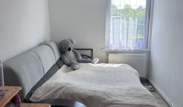 bliźniak, 3 pokoje Trzebiatów