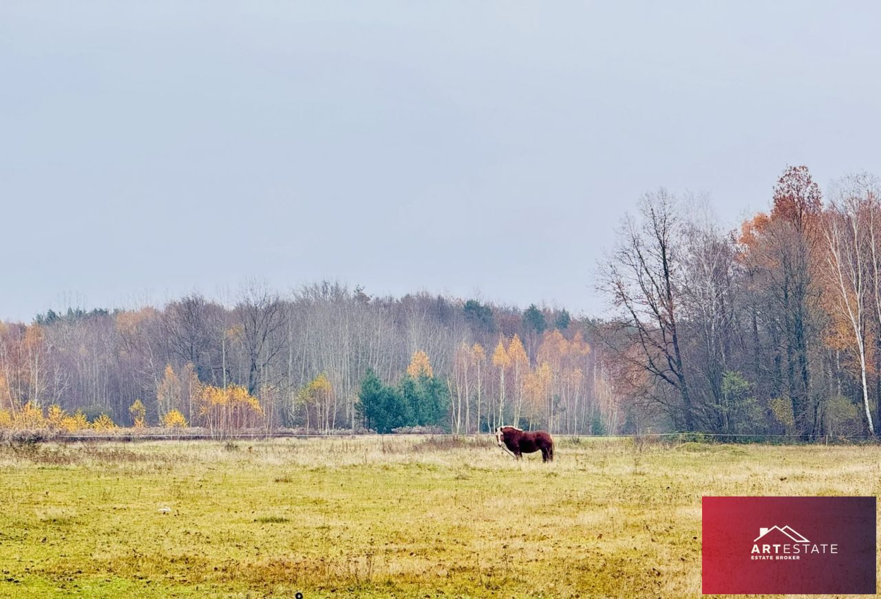 Działka rekreacyjna Nowy Adamów. Zdjęcie 5
