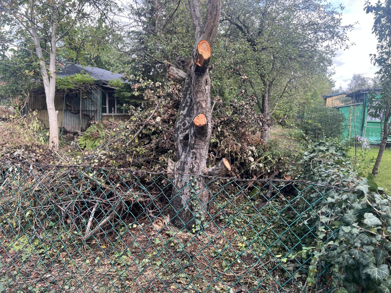 Działka rod Warszawa Włochy, ul. Ogrodników. Zdjęcie 13