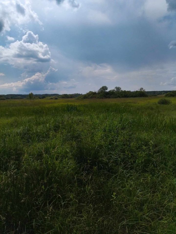 Działka Gościencin. Zdjęcie 7