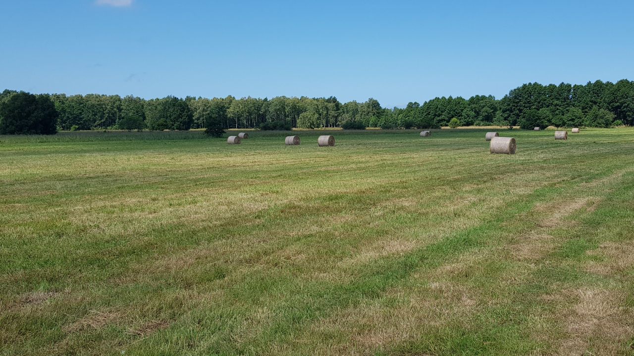 Działka budowlana Sarbsk, Sarbsk. Zdjęcie 4