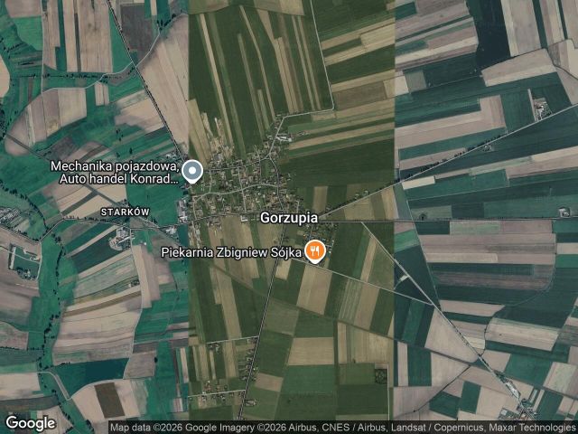 Działka rolna Gorzupia. Zdjęcie 1