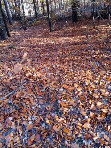 Działka rolna Joaniów. Zdjęcie 3