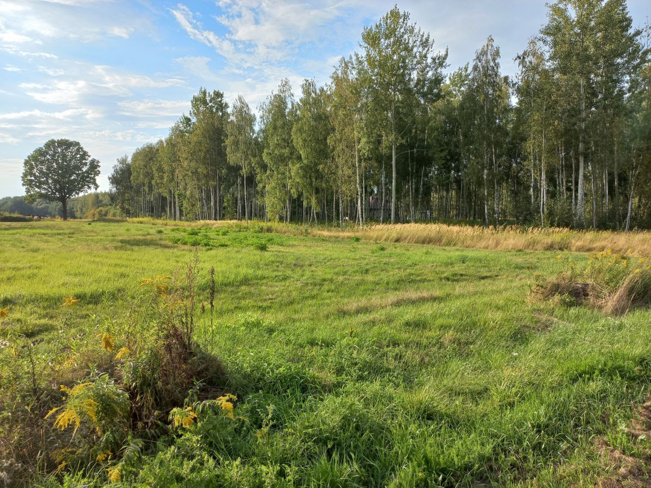 Działka rolno-budowlana Słubica Dobra, ul. Słoneczna. Zdjęcie 5