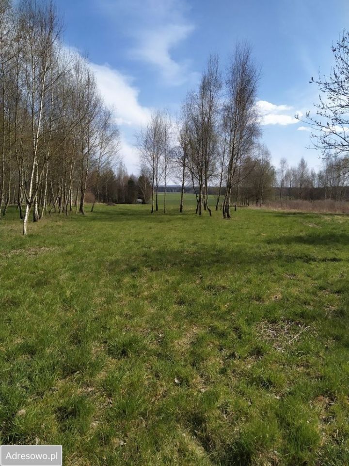 Działka budowlana Myszków Mrzygłódka, ul. Kwarcowa. Zdjęcie 6