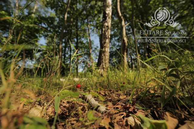 dom szeregowy, 5 pokoi Siechnice. Zdjęcie 3