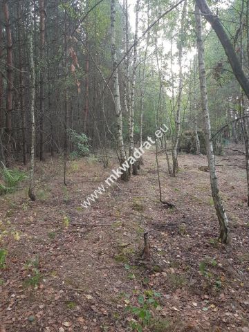 Działka budowlana Nowe Budy. Zdjęcie 4