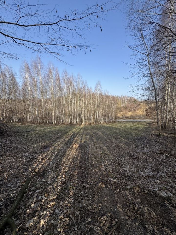 Działka rolna Płouszowice. Zdjęcie 7