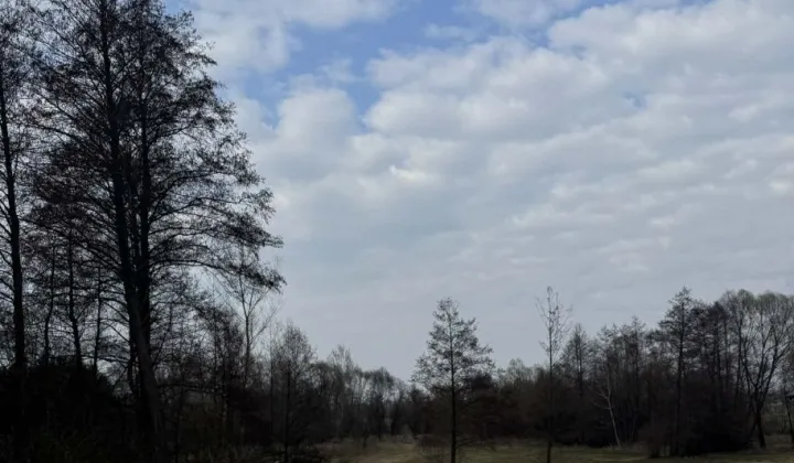 Działka rolno-budowlana Kowala