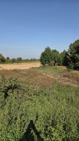 Działka rekreacyjna Rakowice Wielkie. Zdjęcie 1